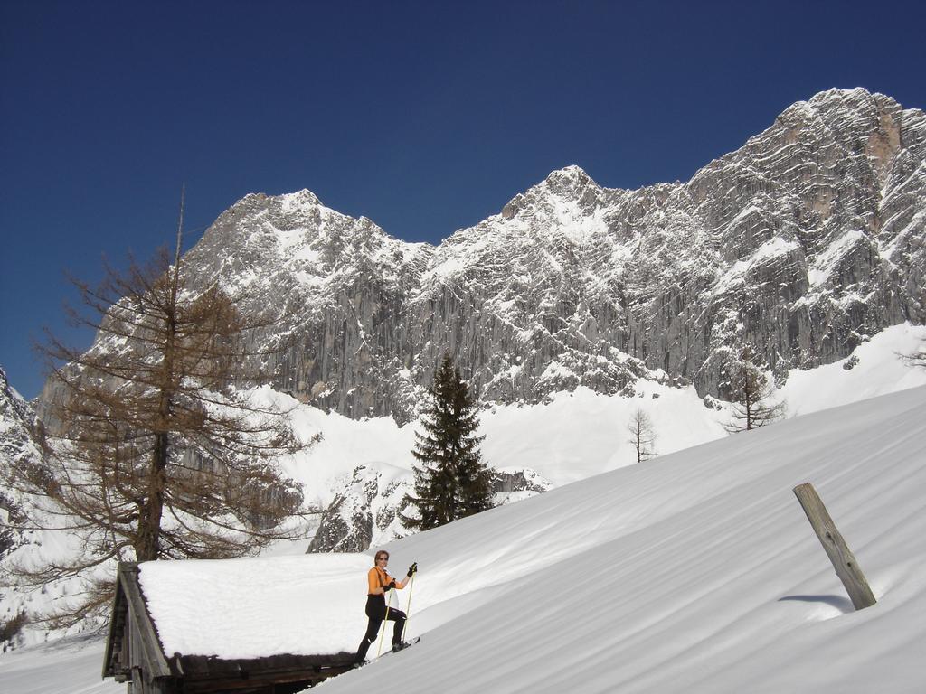 Appartement Gloesalm à Ramsau am Dachstein Chambre photo