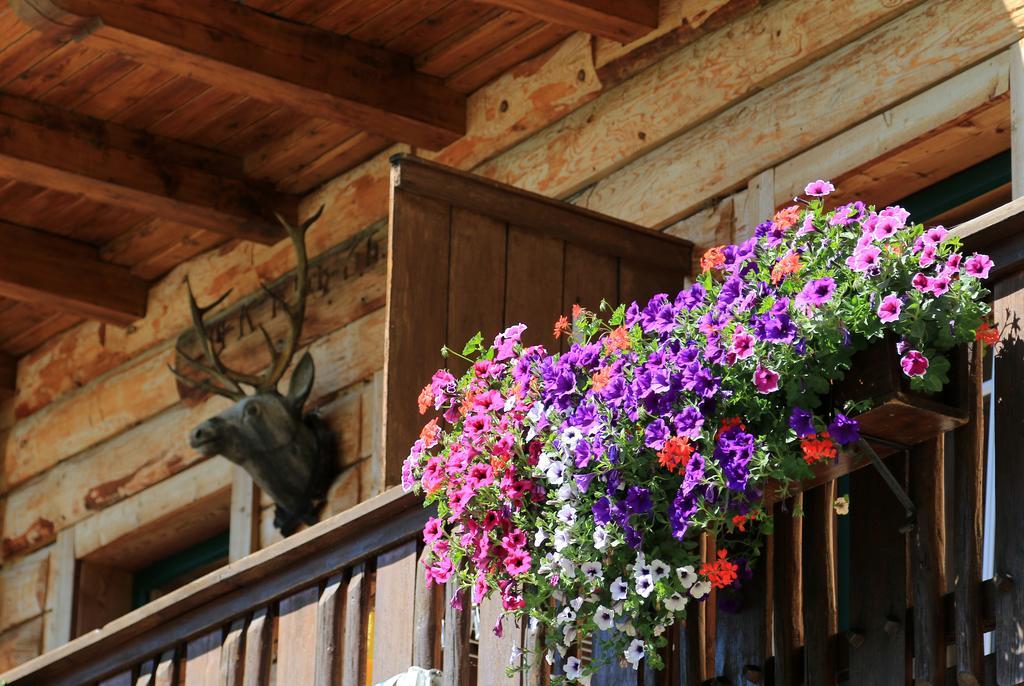 Appartement Gloesalm à Ramsau am Dachstein Extérieur photo