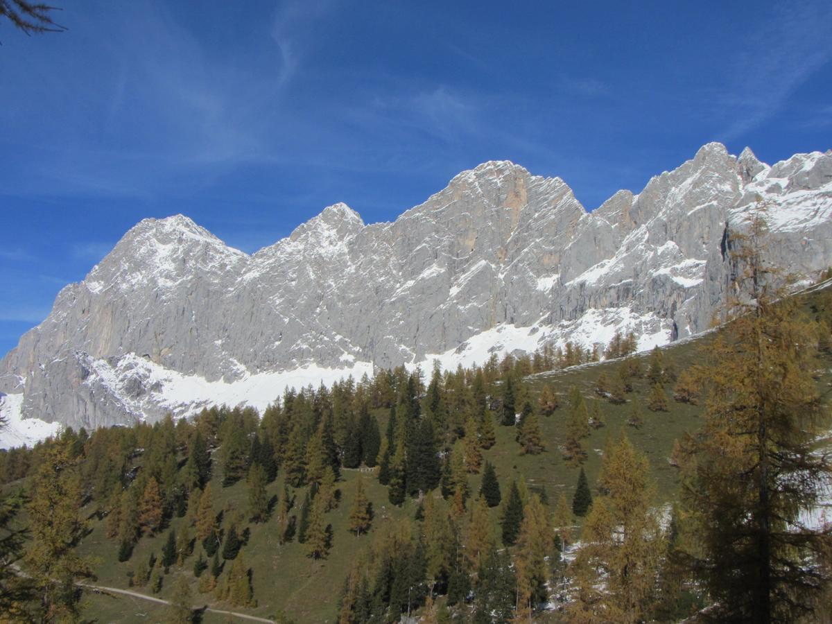 Appartement Gloesalm à Ramsau am Dachstein Extérieur photo